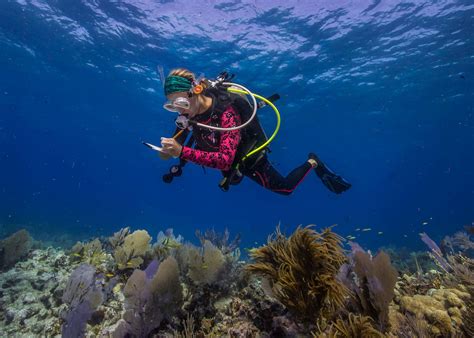 1. Dive into a Marine Paradise