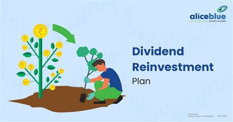 1. Dividend Reinvestment Plan (DRIP)