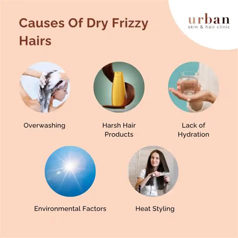 1. Dryness and Frizz: