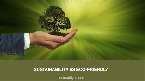 1. Eco-Friendly and Sustainable: