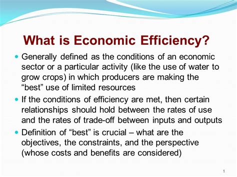 1. Economic Efficiency: