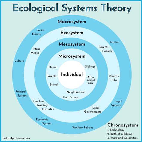 1. Ecosystem Development: