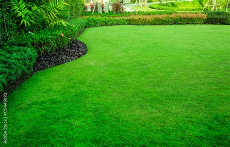 1. Elevate Your Lawn to Envy-Inducing Standards