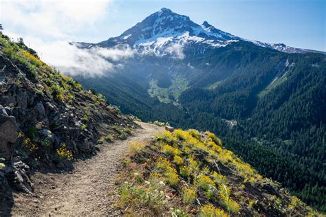 1. Embark on Scenic Hikes Amidst Verdant Trails (2.5 Miles)