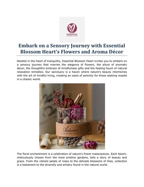 1. Embark on a Sensory Journey