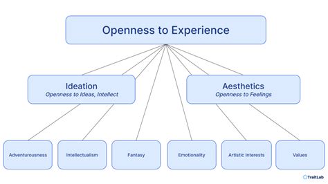 1. Embrace Curiosity and Openness: