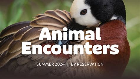 1. Engage with Live Animal Encounters: