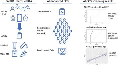 1. Enhanced Cardiovascular Health