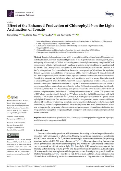 1. Enhanced Chlorophyll Production: