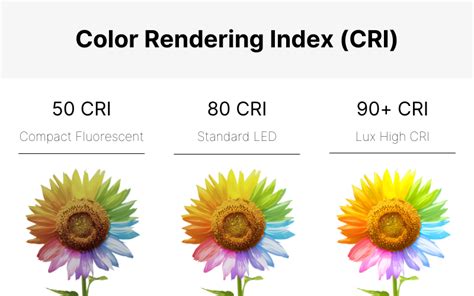 1. Enhanced Color Rendering: