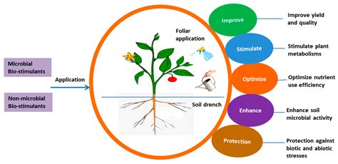 1. Enhanced Crop Growth: