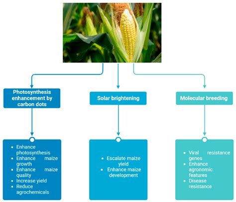 1. Enhanced Crop Growth and Yield: