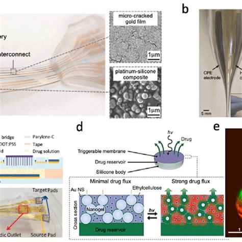 1. Enhanced Drug Delivery: