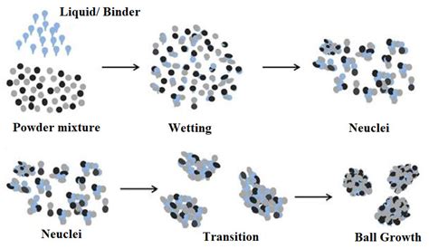 1. Enhanced Granule Quality and Consistency