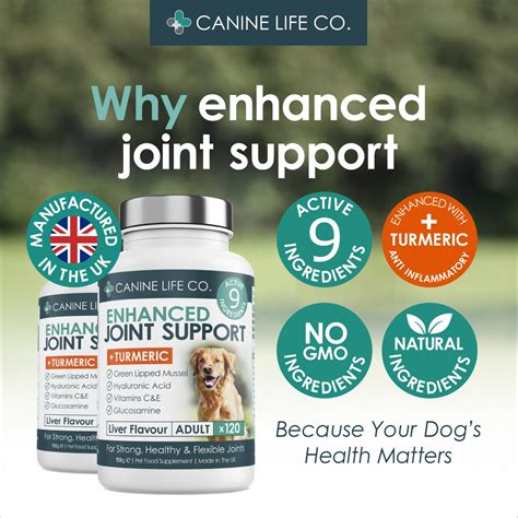 1. Enhanced Joint Support for Large, Active Puppies