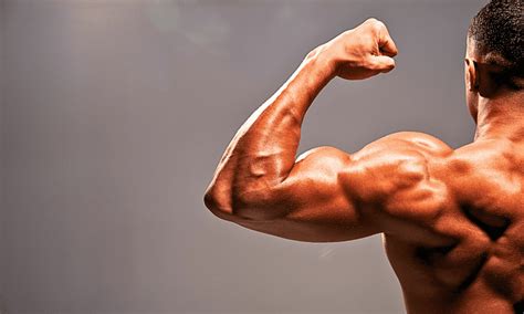 1. Enhanced Muscle Strength: