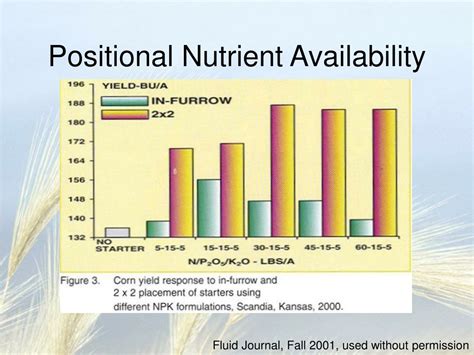 1. Enhanced Nutrient Availability