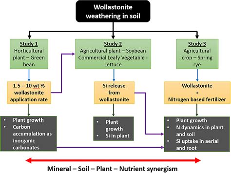 1. Enhanced Nutrient Distribution (15%-25%)