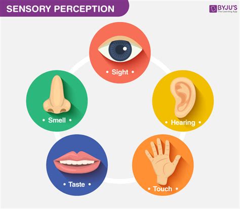 1. Enhanced Sensory Perception: