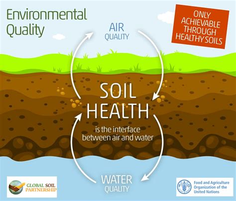 1. Enhanced Soil Health: