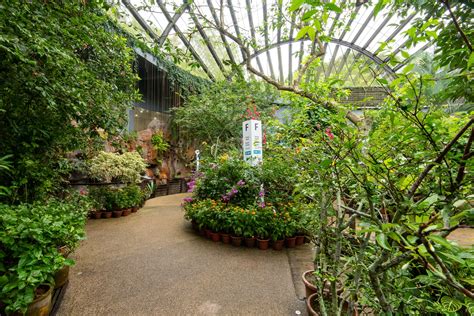 1. Entrancing Entopia Butterfly Farm