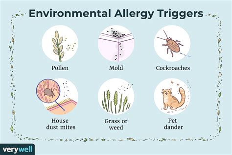 1. Environmental Allergies: