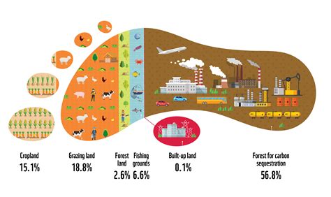 1. Environmental Footprint: