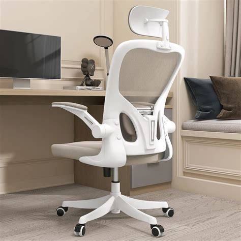 1. Ergonomic Chair: