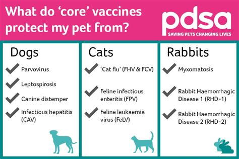 1. Essential (Core) Vaccinations: