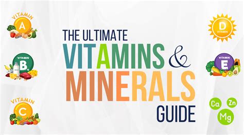 1. Essential Vitamins and Minerals