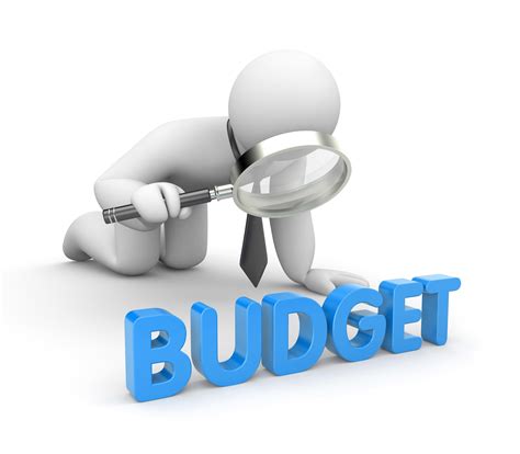 1. Establish a Budget: