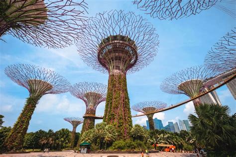 1. Experience the Gardens by the Bay