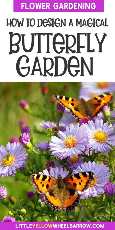 1. Explore the Butterfly Garden