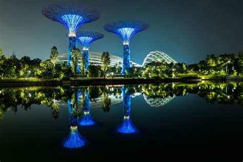 1. Explore the Gardens by the Bay