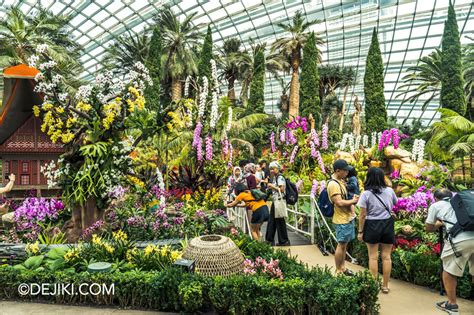 1. Explore the Gardens by the Bay: A Botanical Extravaganza