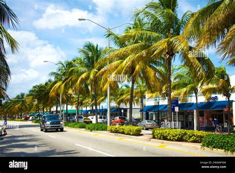 1. Explore the Vibrant City of Miami: