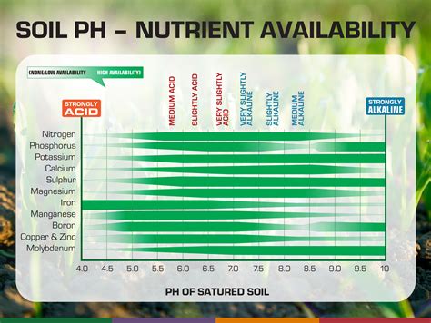 1. Extended Nutrient Availability: