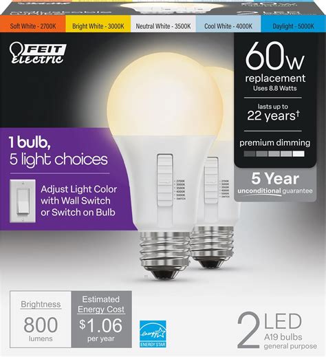 1. FEIT Electric A19 LED Bulb