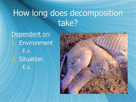 1. Faster Decomposition: