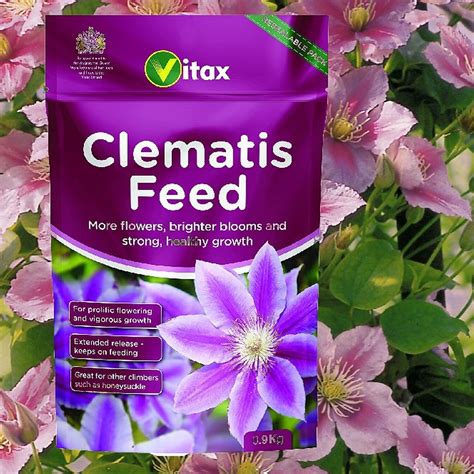 1. Feed Clematis Regularly