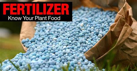 1. Fertilizer Bag: The Foundation of Plant Growth