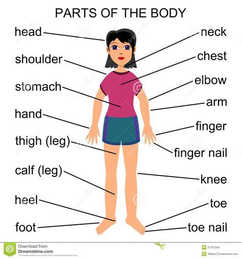 1. Find Your "Best Of" Body Part