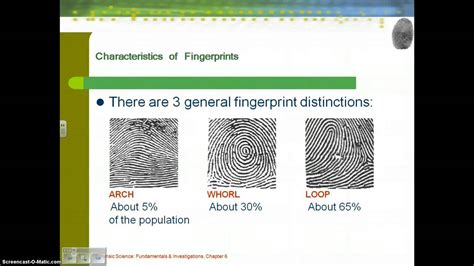 1. Fingerprint Analysis