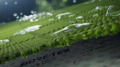 1. GORE-TEX® Membrane: