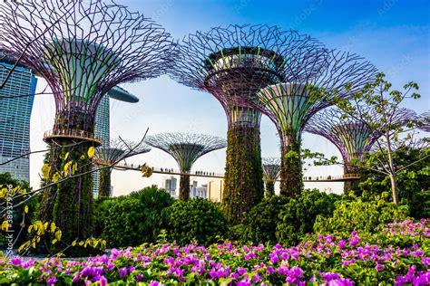 1. Gardens by the Bay: A Nature's Wonderland