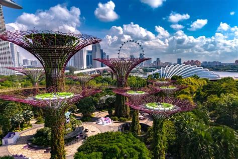 1. Gardens by the Bay: A Nature Wonderland