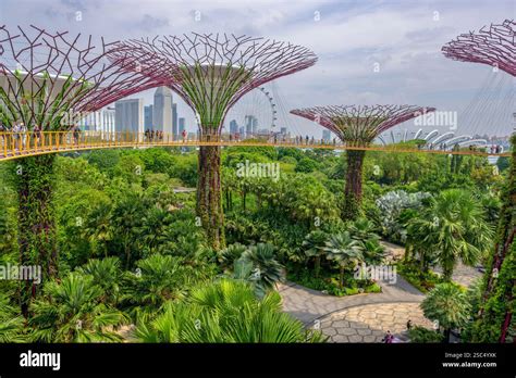 1. Gardens by the Bay: Supertree Grove's Vertical Gardens