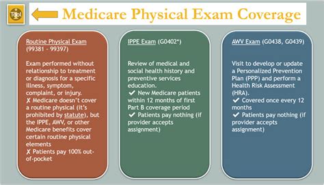 1. General Wellness Exams