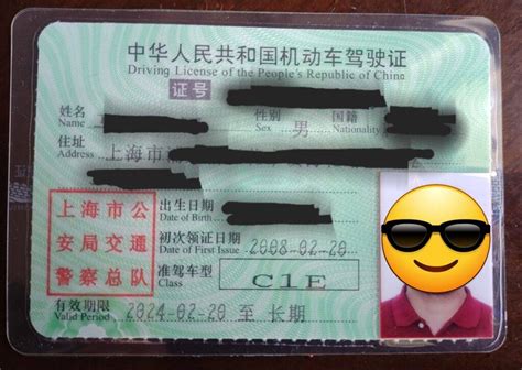 1. Get a Chinese Driver's License