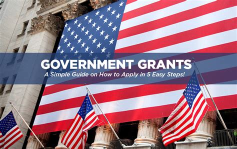 1. Government Grants and Programs